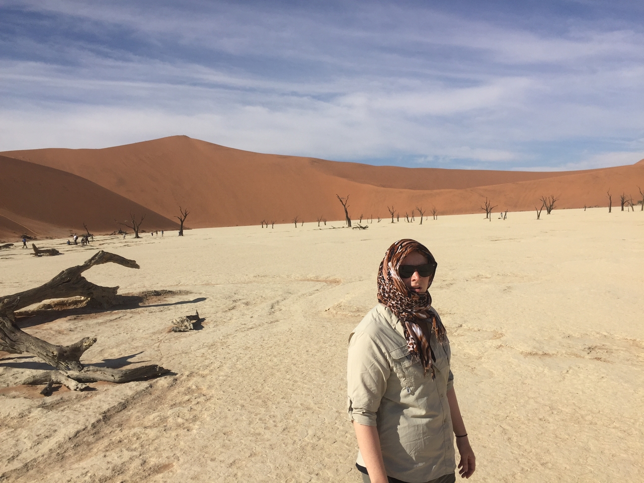 [16021] 2016_06_25_09_51_41_Africa_iPhone_6_IMG_8258_00232.jpg