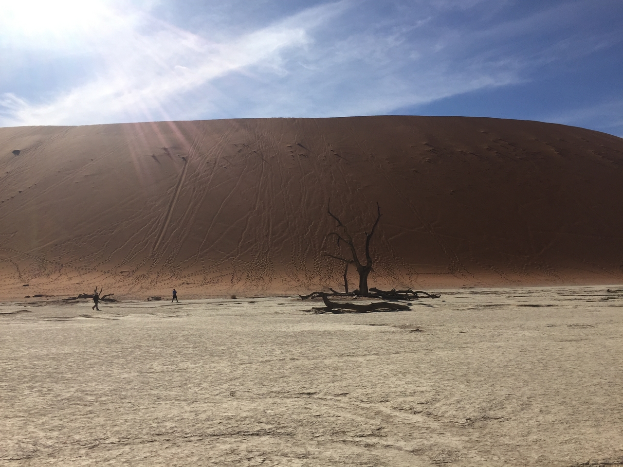 [16024] 2016_06_25_09_52_19_Africa_iPhone_6_IMG_8259_00233.jpg