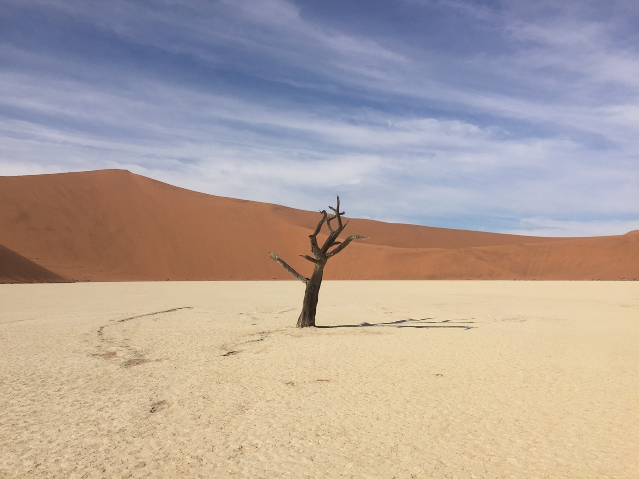 [16104] 2016_06_25_09_58_30_Africa_iPhone_6_IMG_8269_00825.jpg