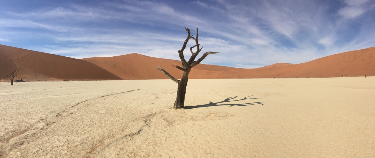 [16115] 2016_06_25_09_59_17_Africa_iPhone_6_IMG_8271_03168.jpg