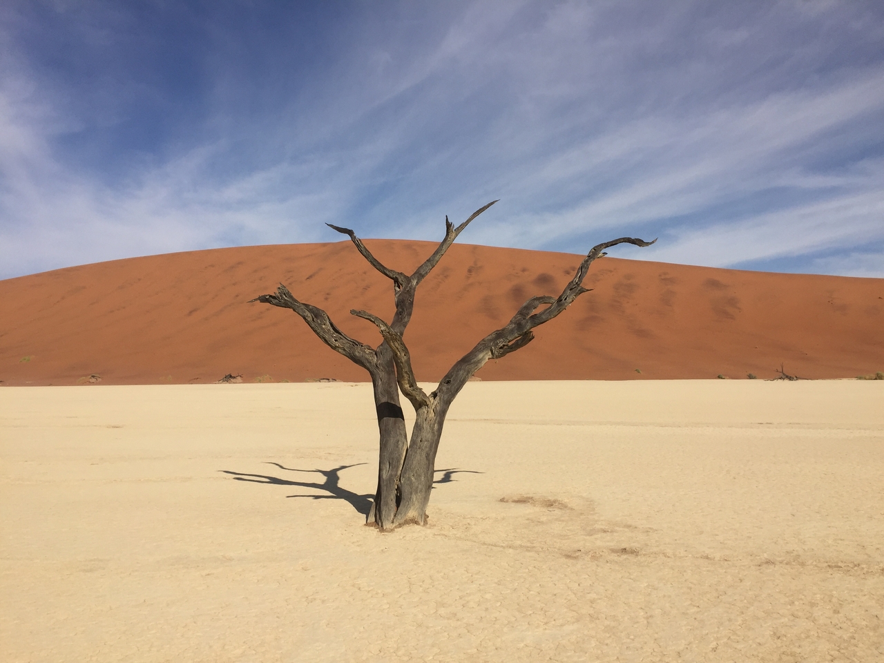 [16180] 2016_06_25_10_04_32_Africa_iPhone_6_IMG_8287_03184.jpg