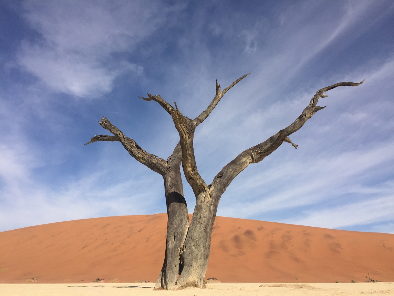 [16182] 2016_06_25_10_04_43_Africa_iPhone_6_IMG_8288_00844.jpg