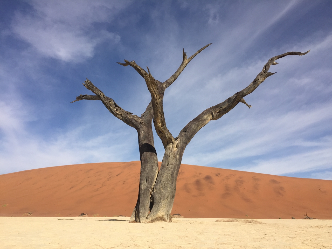 [16184] 2016_06_25_10_04_46_Africa_iPhone_6_IMG_8289_00263.jpg