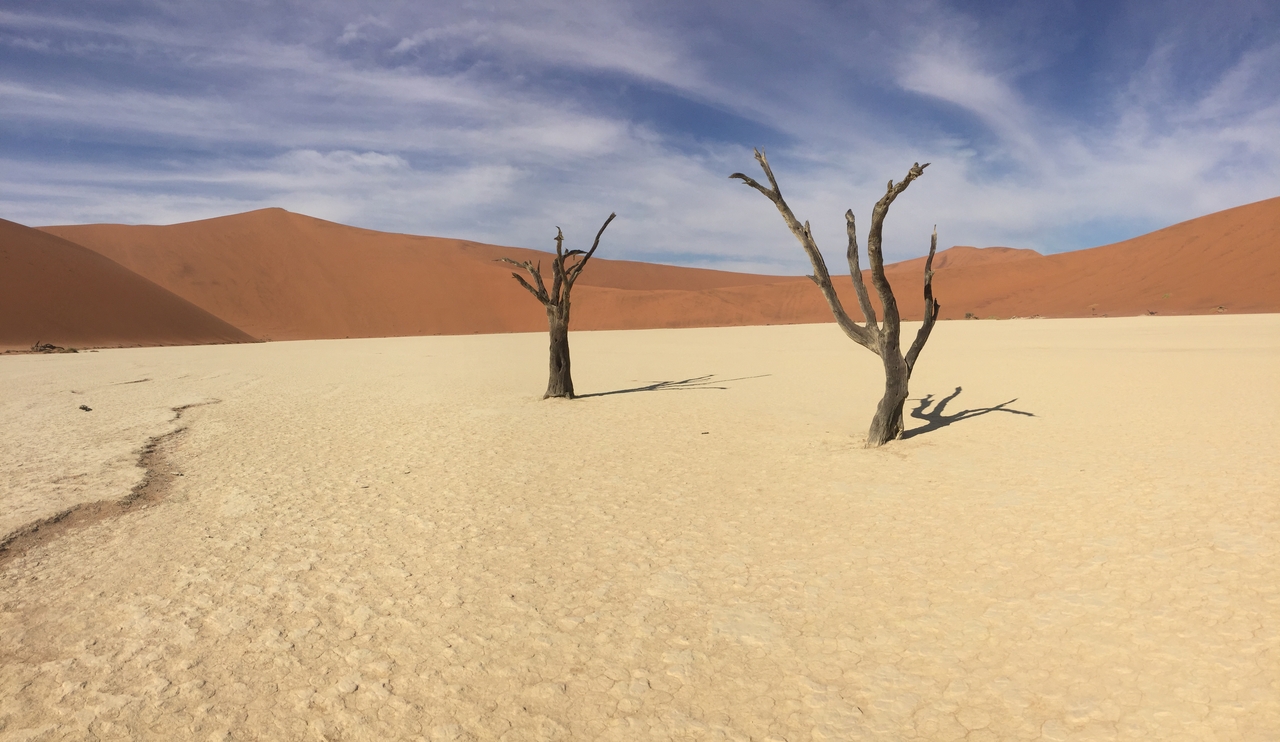 [16196] 2016_06_25_10_10_40_Africa_iPhone_6_IMG_8291_03188.jpg