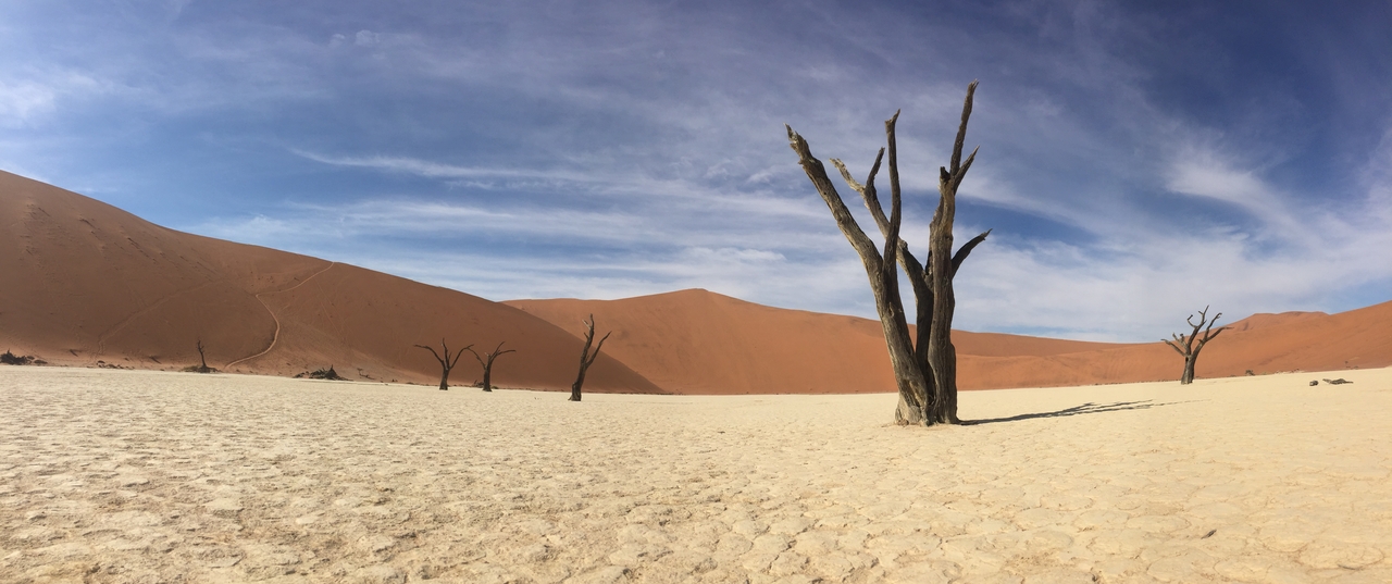 [16202] 2016_06_25_10_12_31_Africa_iPhone_6_IMG_8293_03190.jpg