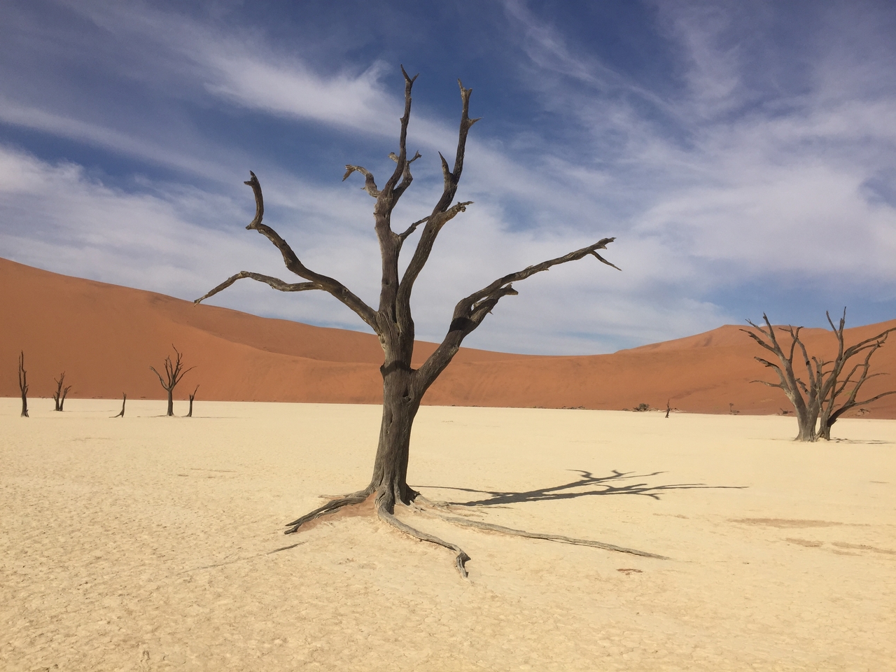 [16234] 2016_06_25_10_22_35_Africa_iPhone_6_IMG_8301_00857.jpg