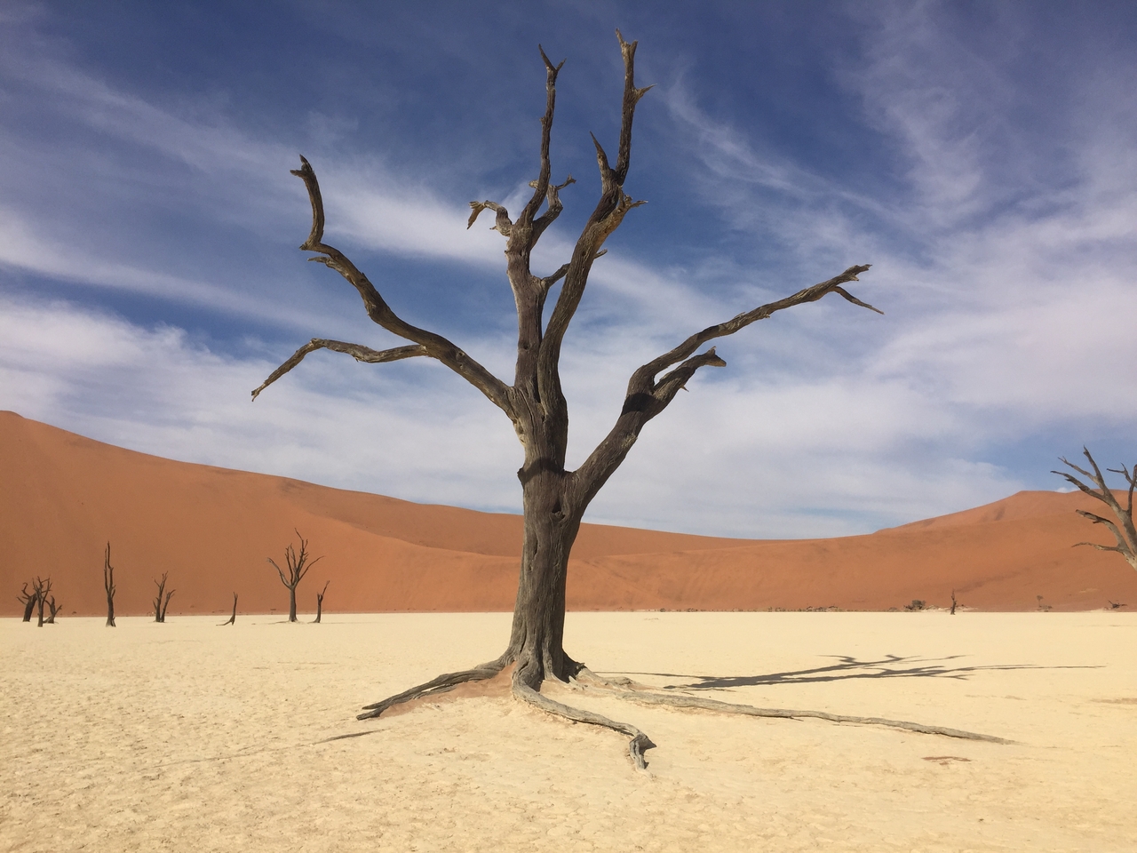 [16242] 2016_06_25_10_23_05_Africa_iPhone_6_IMG_8303_00859.jpg