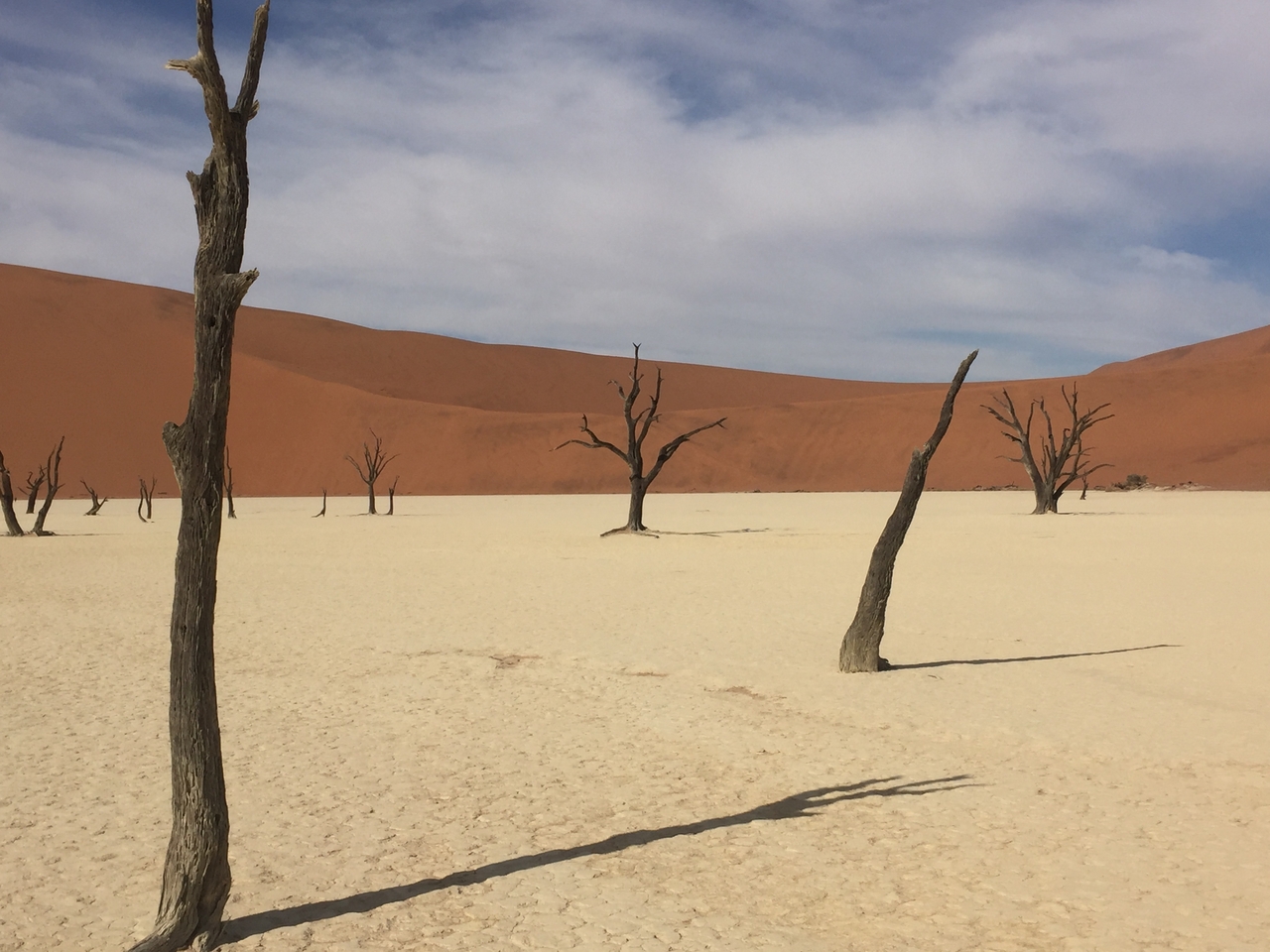 [16257] 2016_06_25_10_26_00_Africa_iPhone_6_IMG_8308_00864.jpg