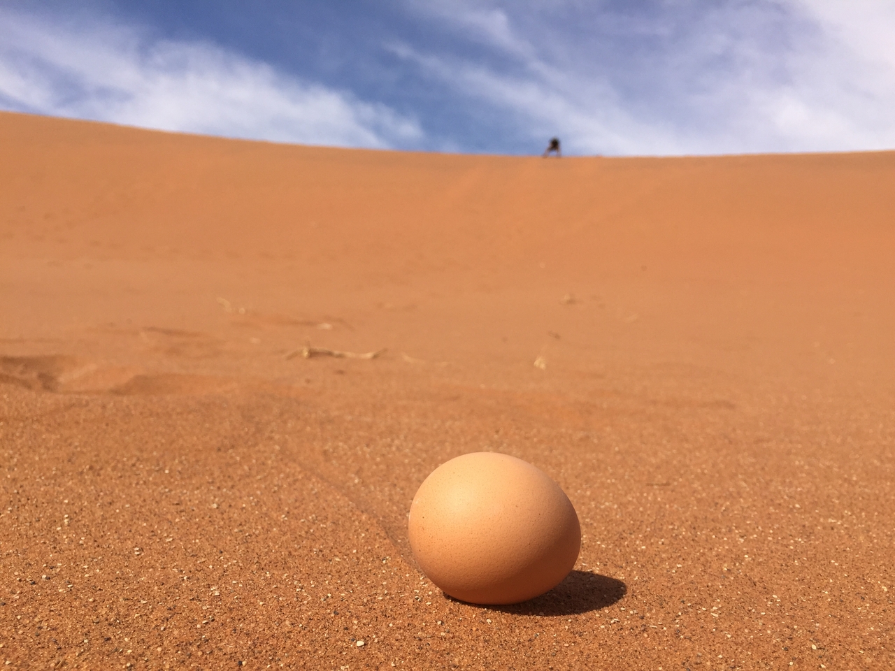 [16260] 2016_06_25_10_41_21_Africa_iPhone_6_IMG_8312_00865.jpg