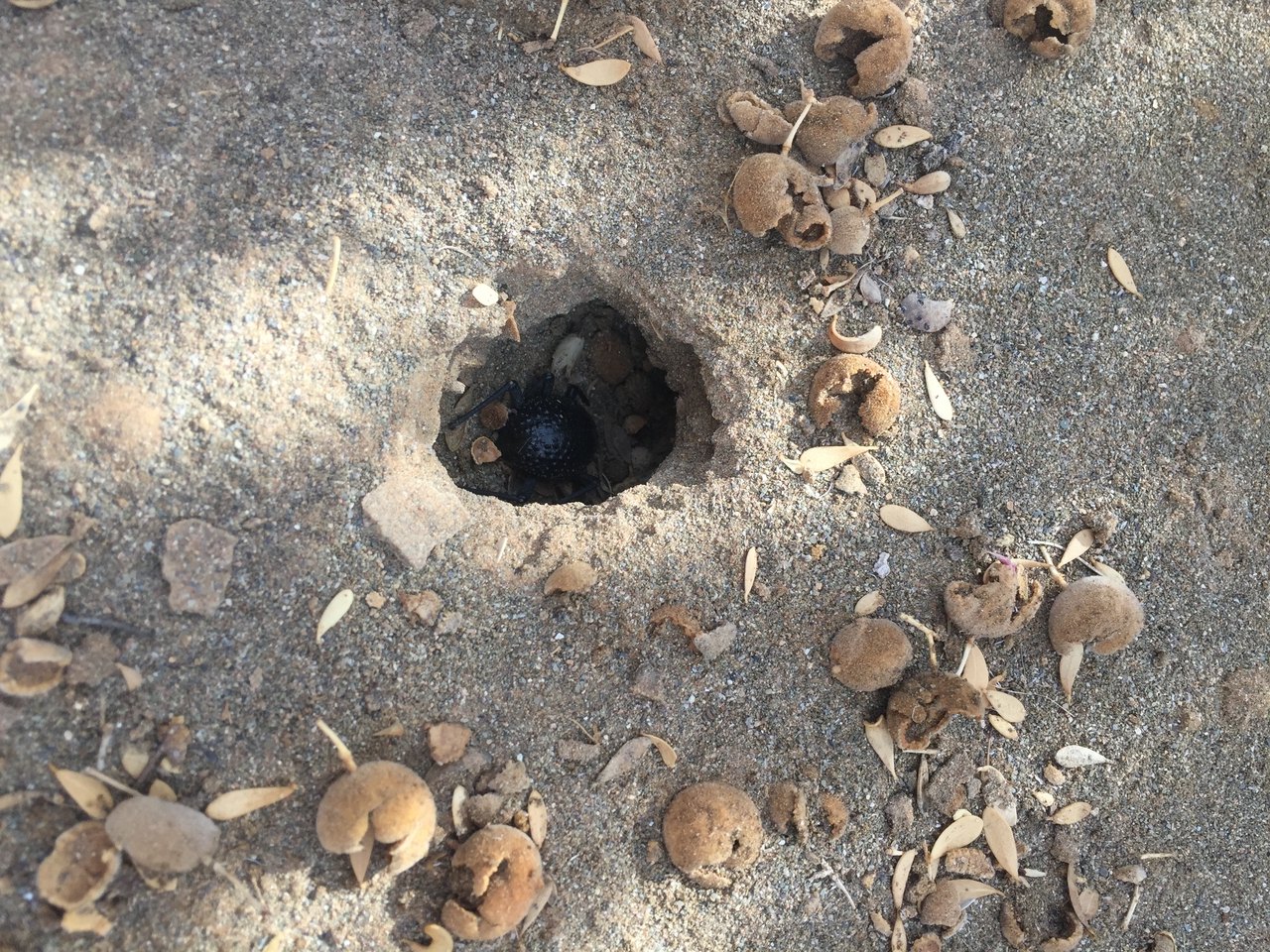 [16284] 2016_06_25_12_25_15_Africa_iPhone_6_IMG_8322_00873.jpg