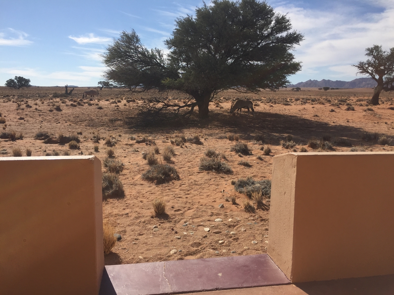 [16320] 2016_06_25_13_38_56_Africa_iPhone_6_IMG_8335_00885.jpg