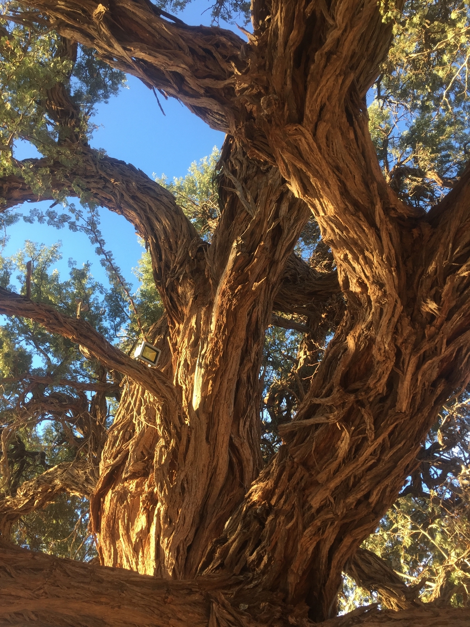 [16377] 2016_06_25_16_34_16_Africa_iPhone_6_IMG_8355_00905.jpg