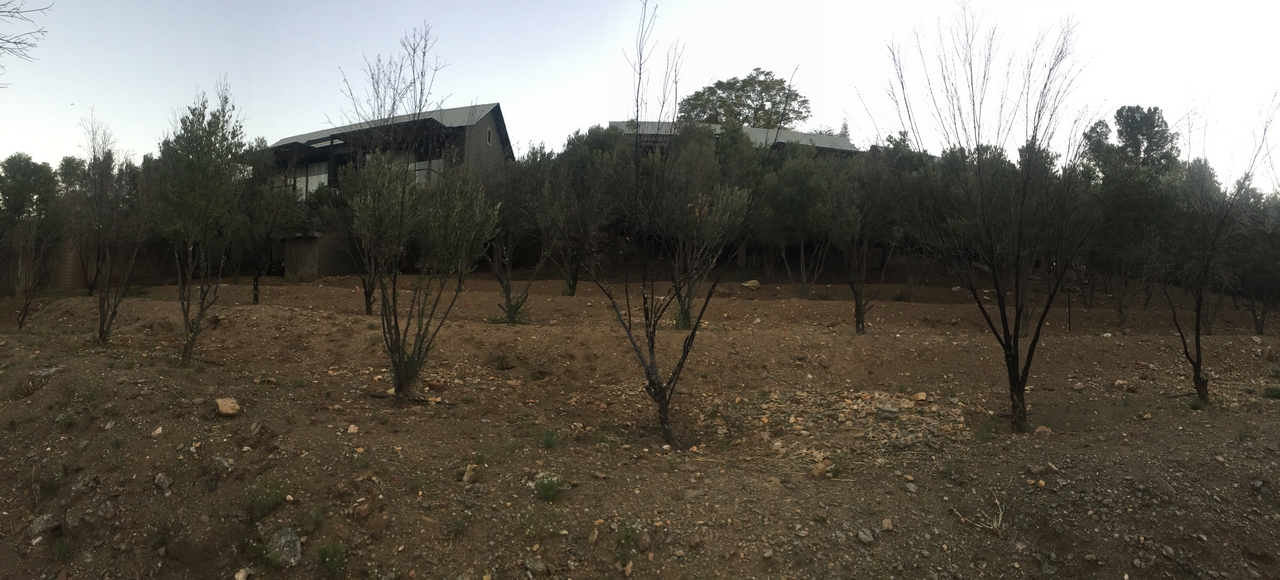 [16659] 2016_06_26_17_15_22_Africa_iPhone_6_IMG_8387_03271.jpg