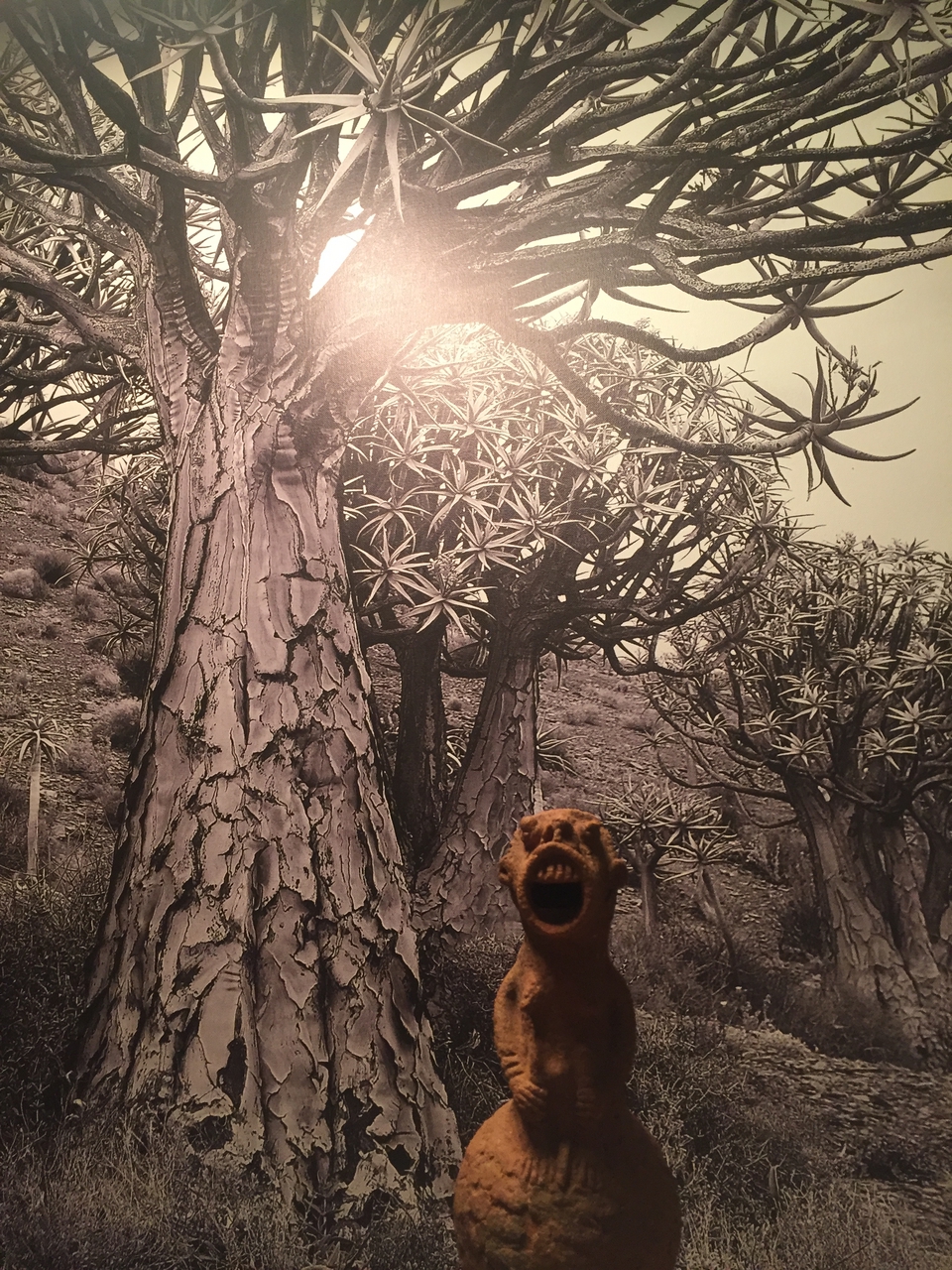 [16667] 2016_06_26_17_47_40_Africa_iPhone_6_IMG_8390_00350.jpg