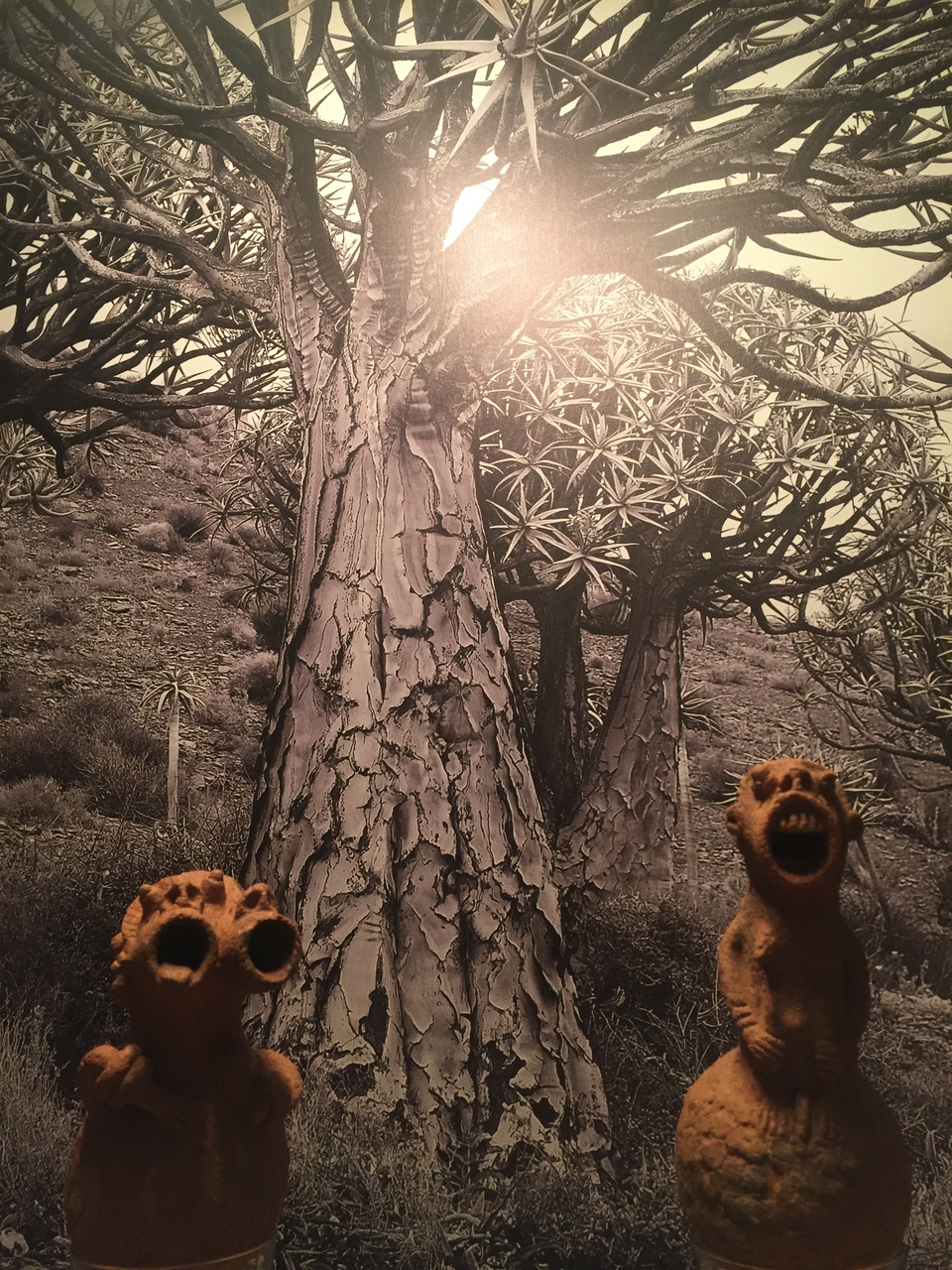 [16670] 2016_06_26_17_48_10_Africa_iPhone_6_IMG_8391_00351.jpg