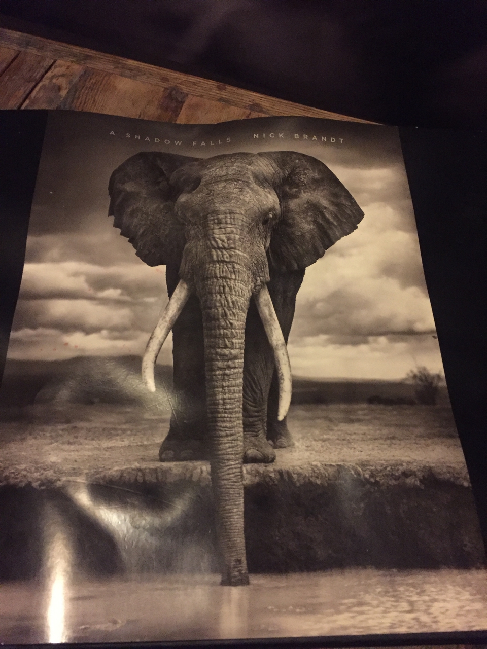 [16706] 2016_06_26_20_57_54_Africa_iPhone_6_IMG_8400_00942.jpg