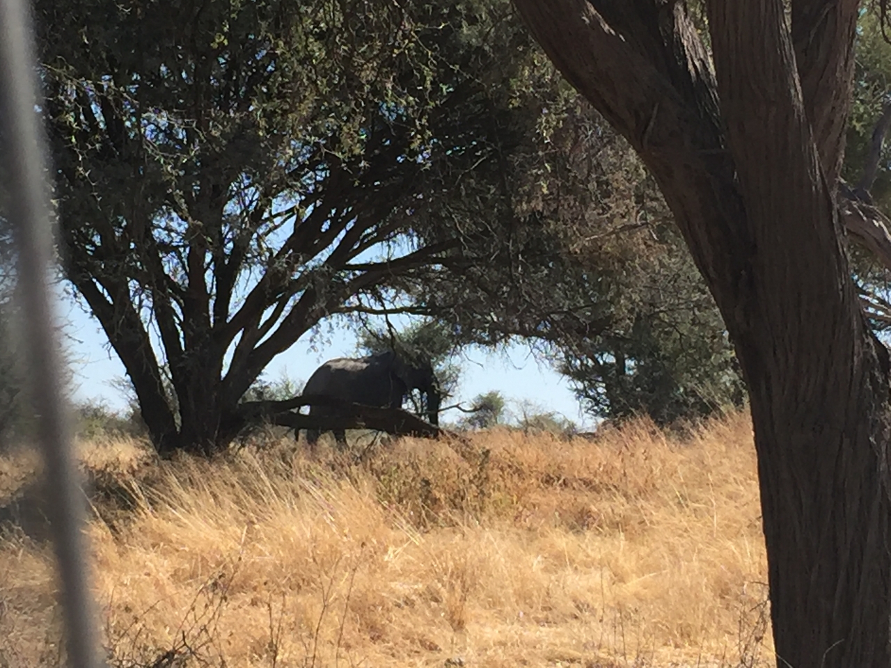 [17164] 2016_06_27_12_17_24_Africa_iPhone_6_IMG_8417_00957.jpg