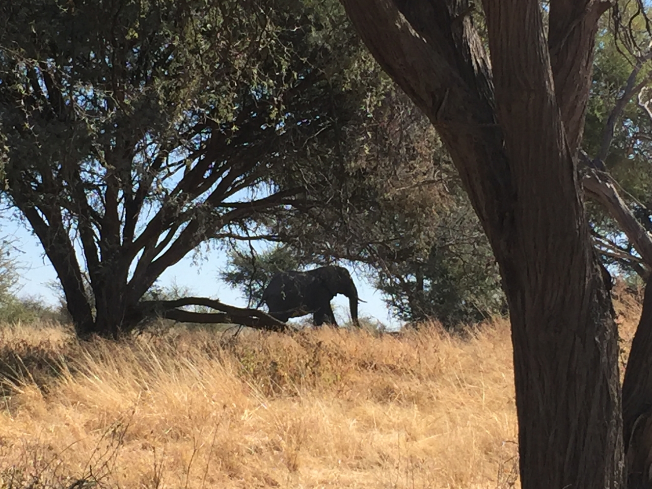 [17166] 2016_06_27_12_17_27_Africa_iPhone_6_IMG_8418_00376.jpg