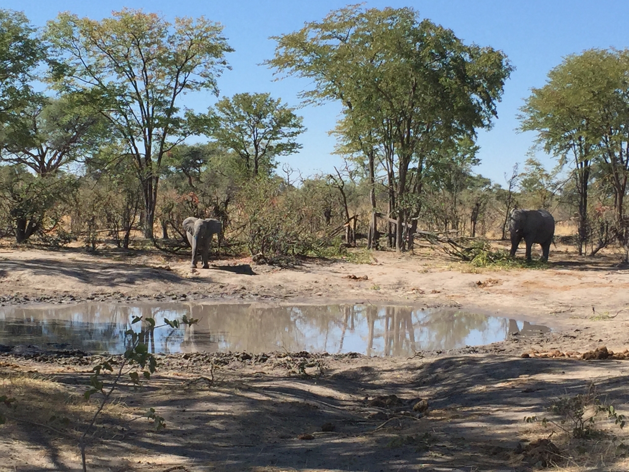 [17210] 2016_06_27_13_51_25_Africa_iPhone_6_IMG_8424_03305.jpg