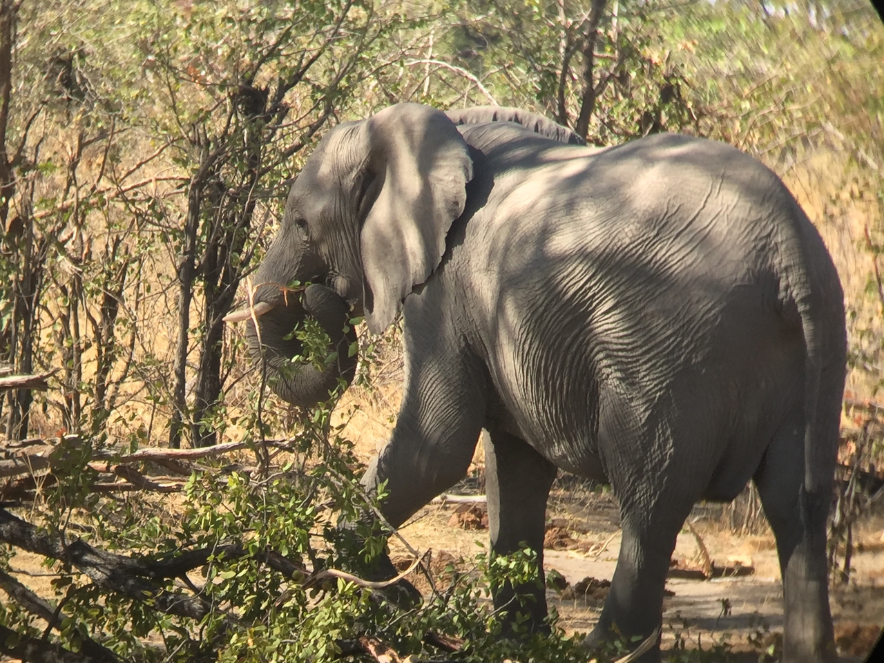 [17213] 2016_06_27_13_52_43_Africa_iPhone_6_IMG_8425_03306.jpg