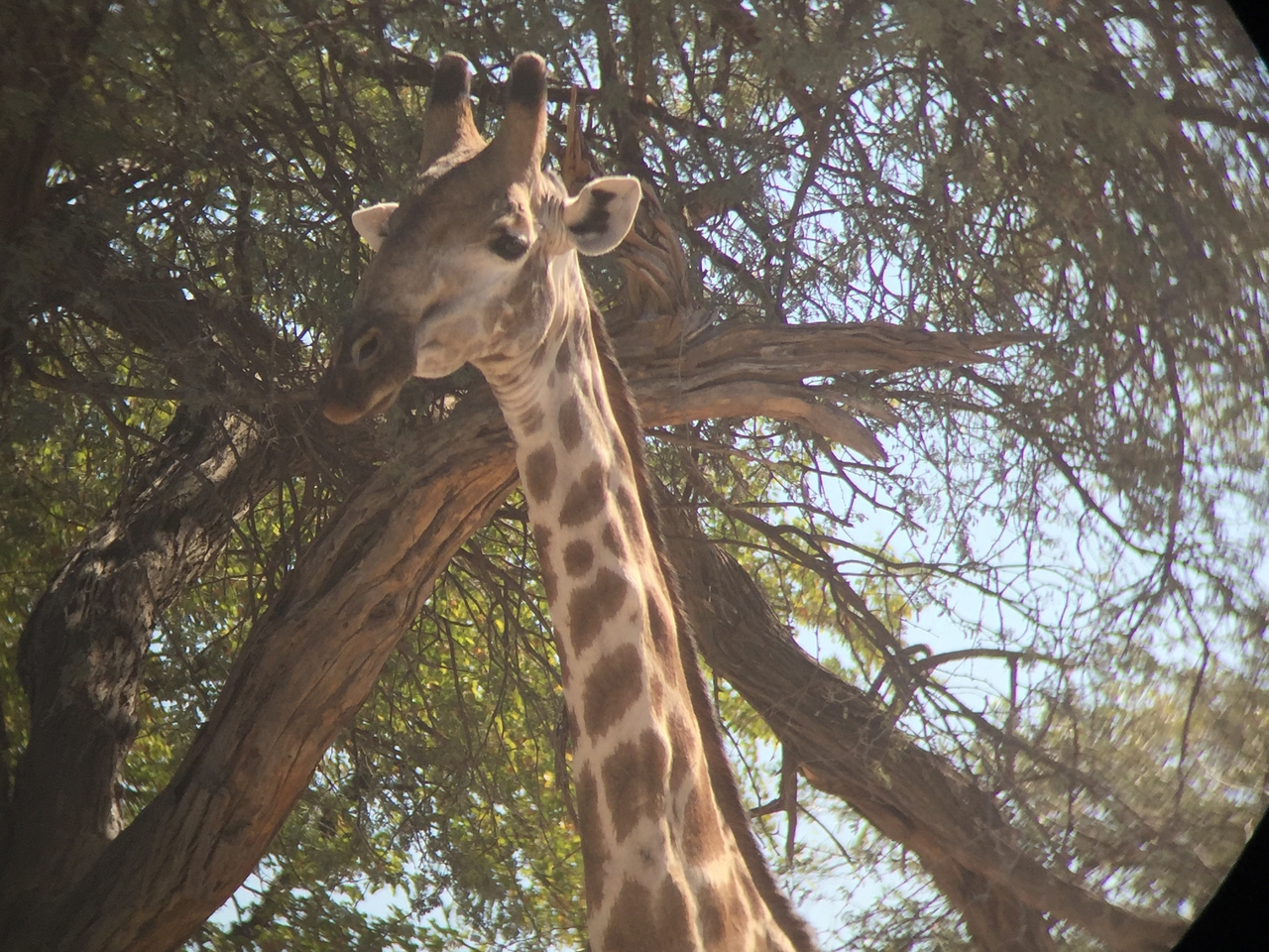 [17214] 2016_06_27_13_54_17_Africa_iPhone_6_IMG_8426_00384.jpg