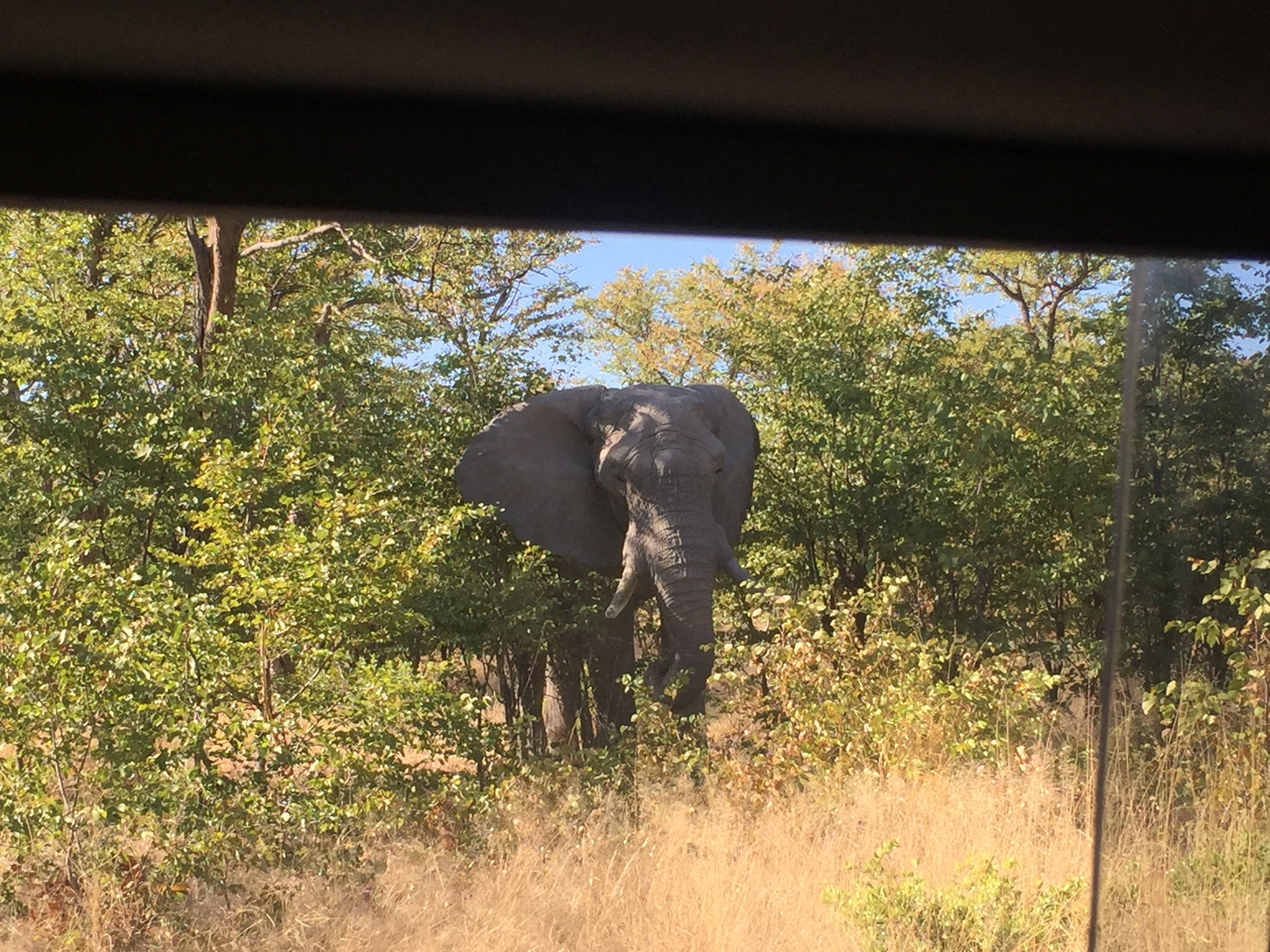 [17279] 2016_06_27_15_17_42_Africa_iPhone_6_IMG_8447_03328.jpg