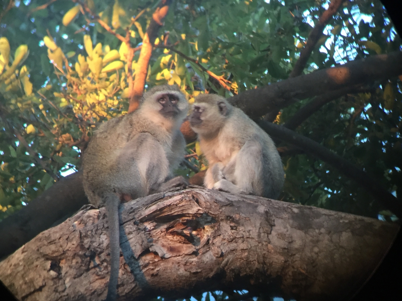 [19827] 2016_06_28_07_10_34_Africa_iPhone_6_IMG_8467_03348.jpg