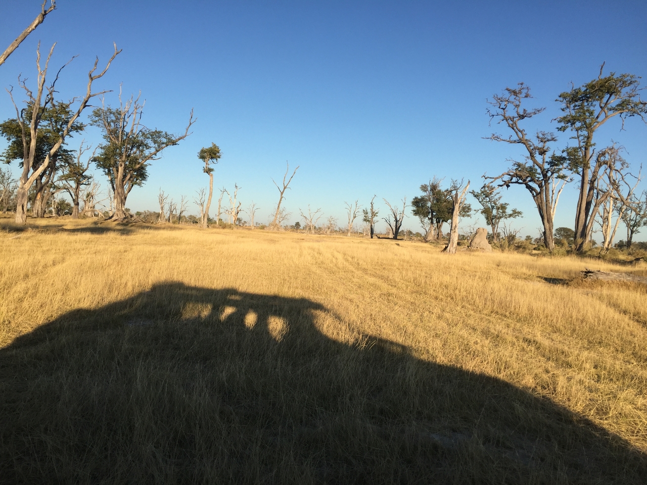 [19840] 2016_06_28_07_44_15_Africa_iPhone_6_IMG_8470_00428.jpg