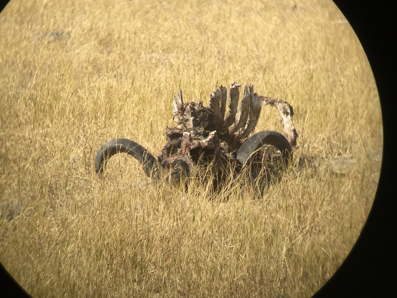 [20033] 2016_06_28_10_42_21_Africa_iPhone_6_IMG_8511_01047.jpg