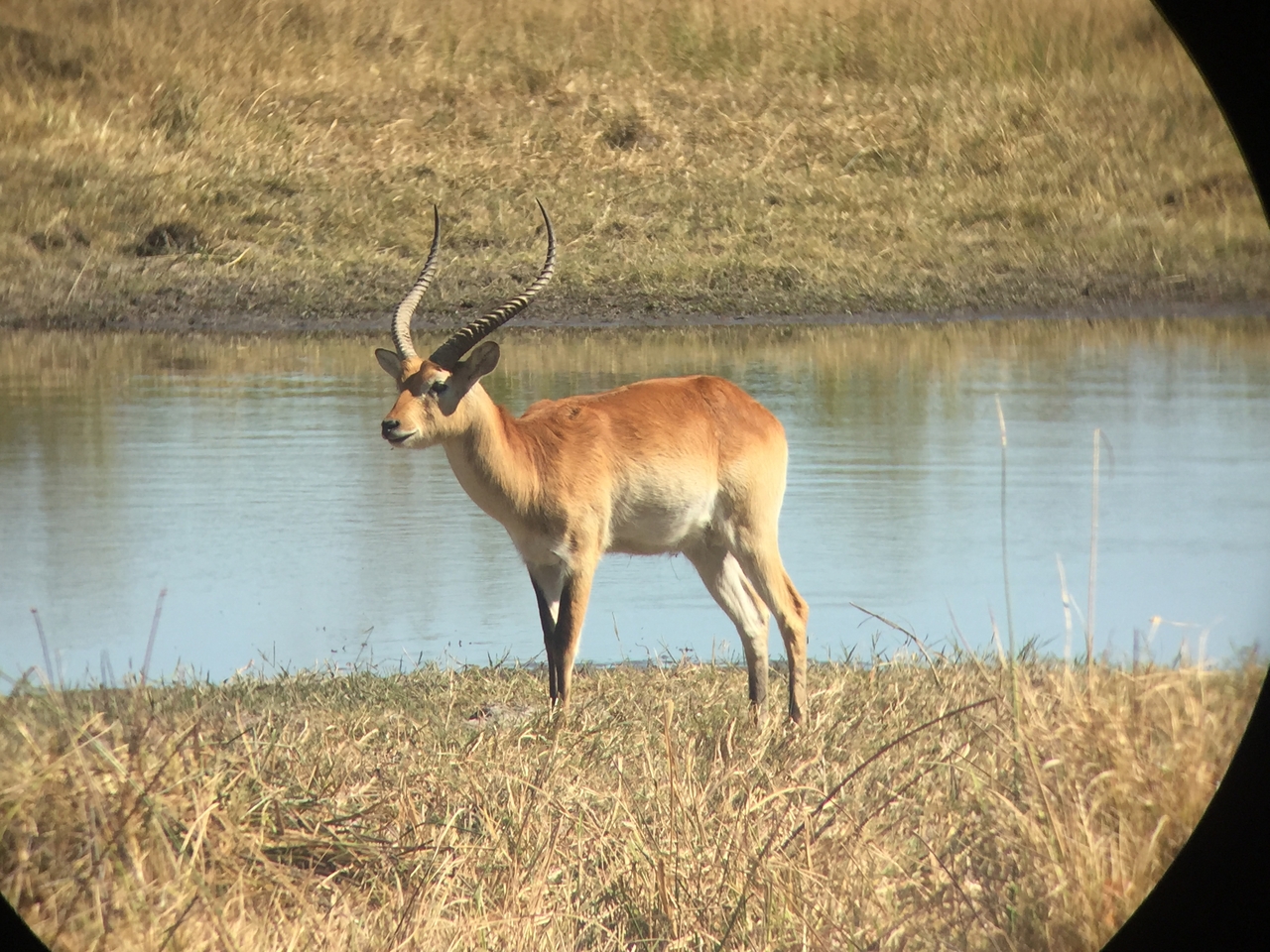 [20082] 2016_06_28_11_32_55_Africa_iPhone_6_IMG_8525_00475.jpg