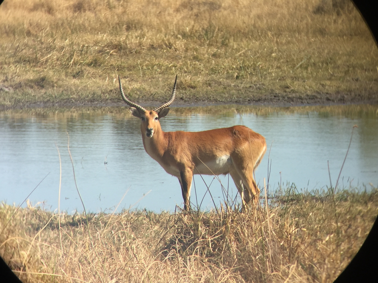 [20090] 2016_06_28_11_33_05_Africa_iPhone_6_IMG_8527_03400.jpg