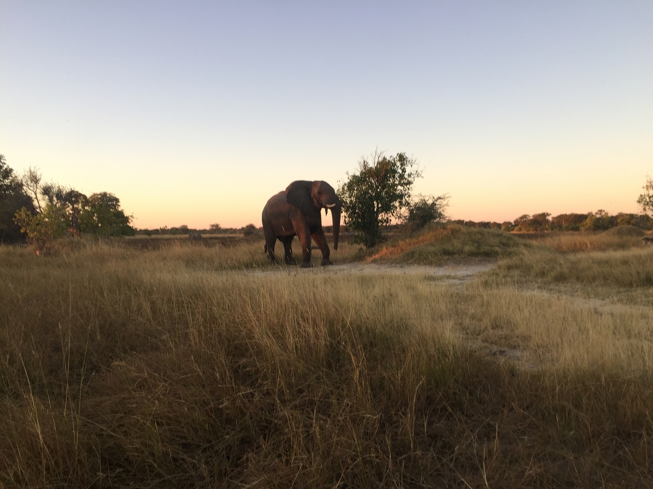 [20428] 2016_06_28_17_51_51_Africa_iPhone_6_IMG_8540_03412.jpg