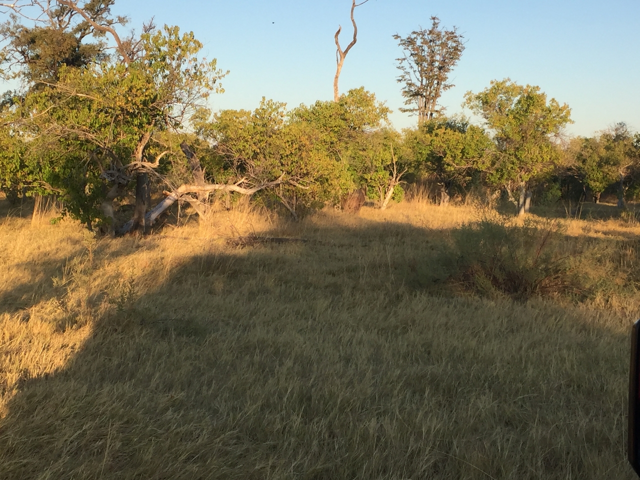 [21307] 2016_06_29_07_30_50_Africa_iPhone_6_IMG_8552_01083.jpg