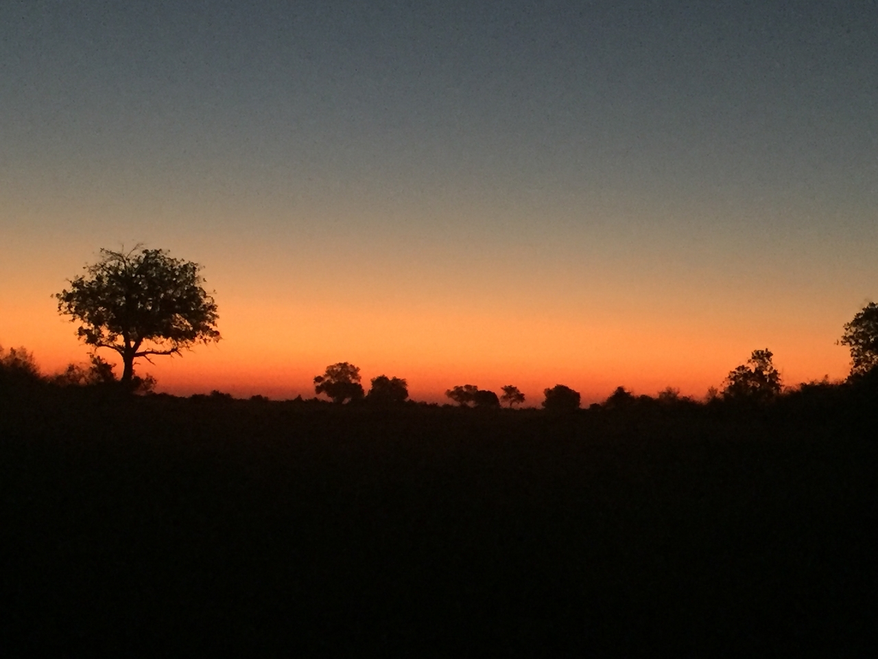 [22265] 2016_06_29_18_28_36_Africa_iPhone_6_IMG_8576_03444.jpg