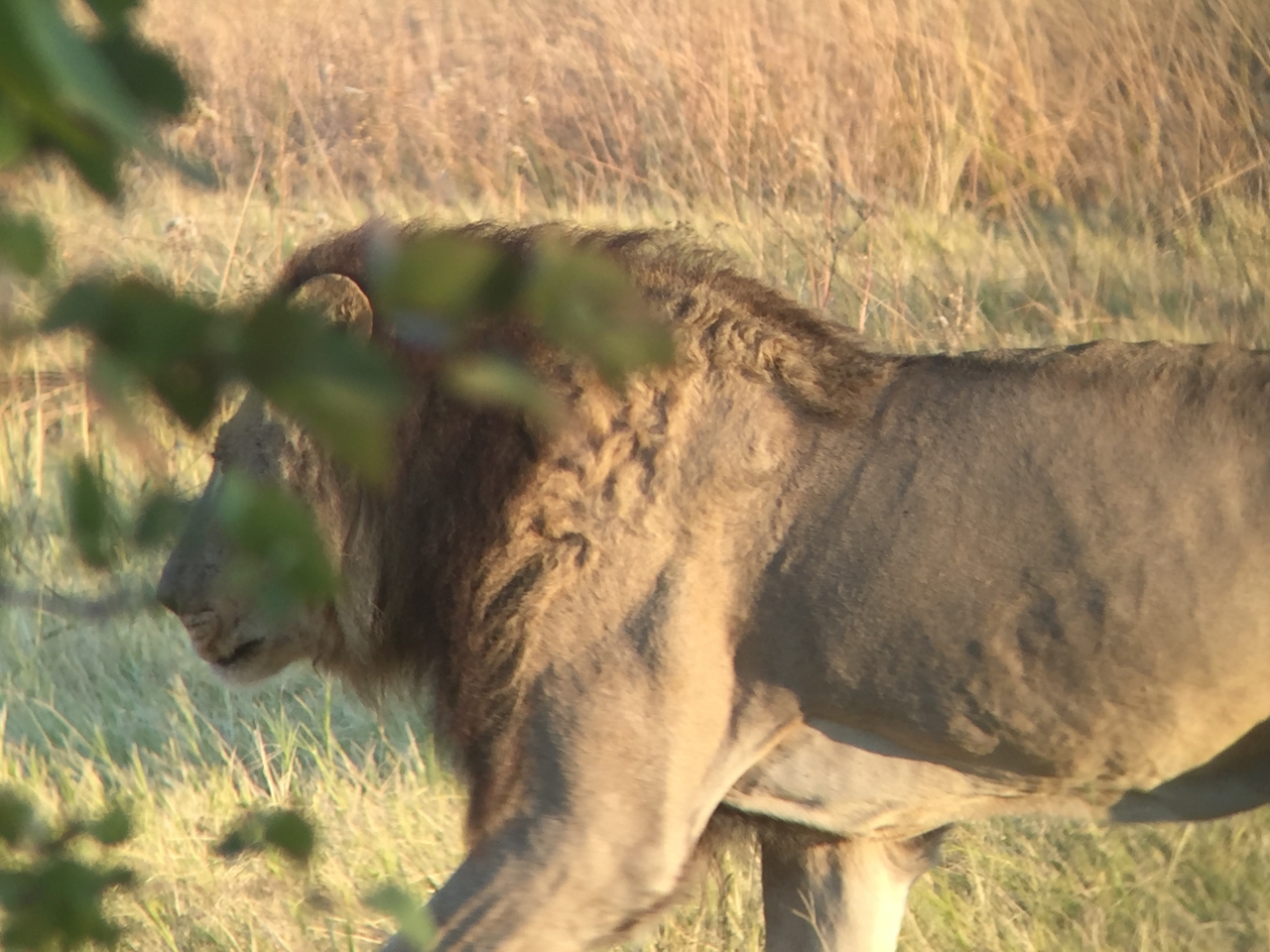 [24640] 2016_06_30_07_37_54_Africa_iPhone_6_IMG_8580_01107.jpg