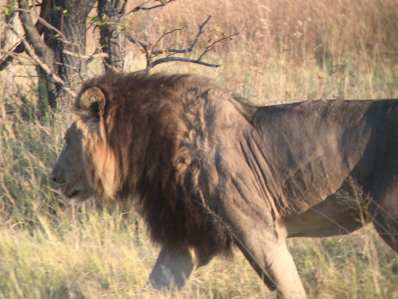 [24643] 2016_06_30_07_37_59_Africa_iPhone_6_IMG_8581_01108.jpg