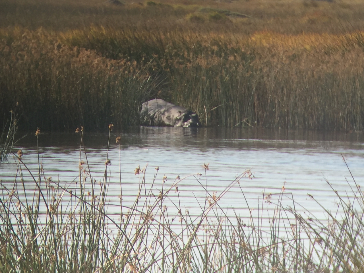 [25797] 2016_06_30_15_18_19_Africa_iPhone_6_IMG_8594_03459.jpg