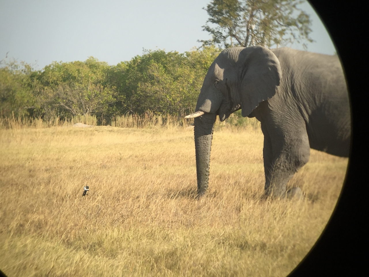 [26357] 2016_06_30_16_09_49_Africa_iPhone_6_IMG_8601_00542.jpg