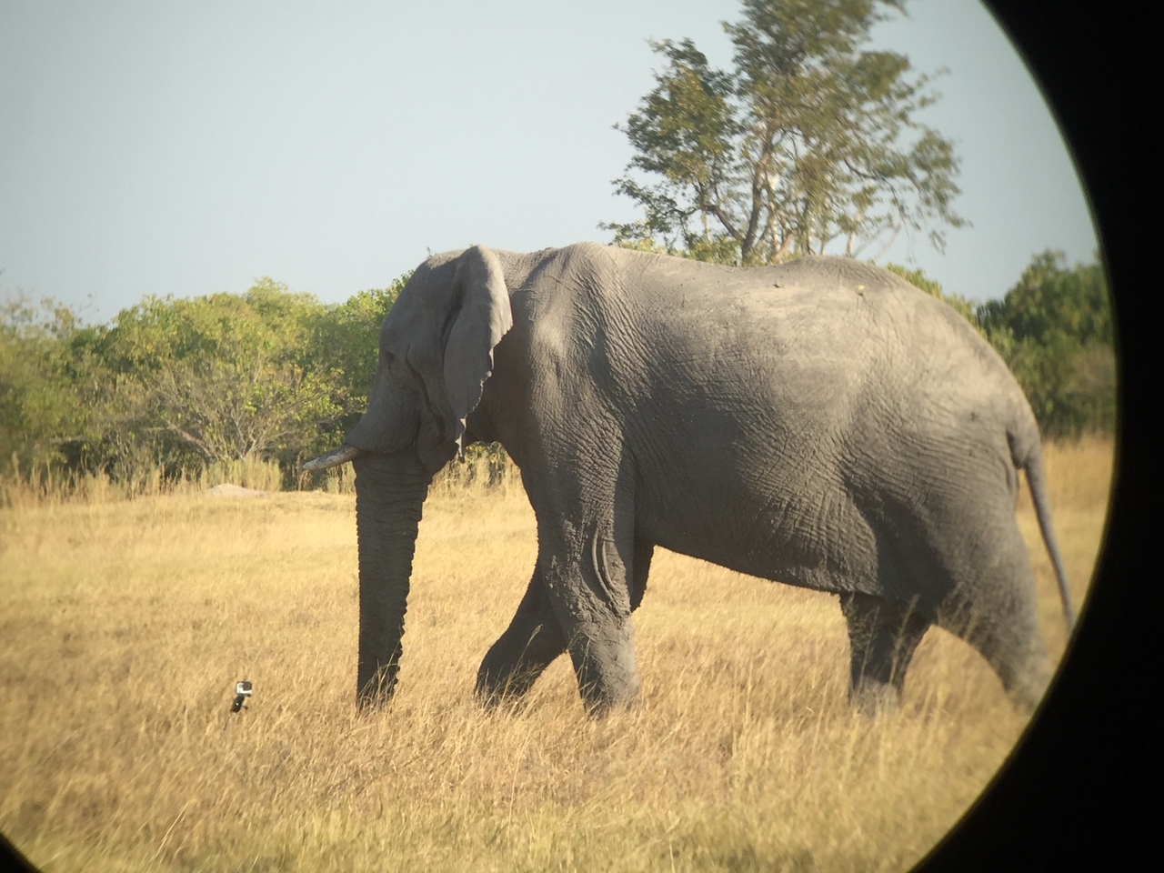 [26364] 2016_06_30_16_09_51_Africa_iPhone_6_IMG_8602_01125.jpg