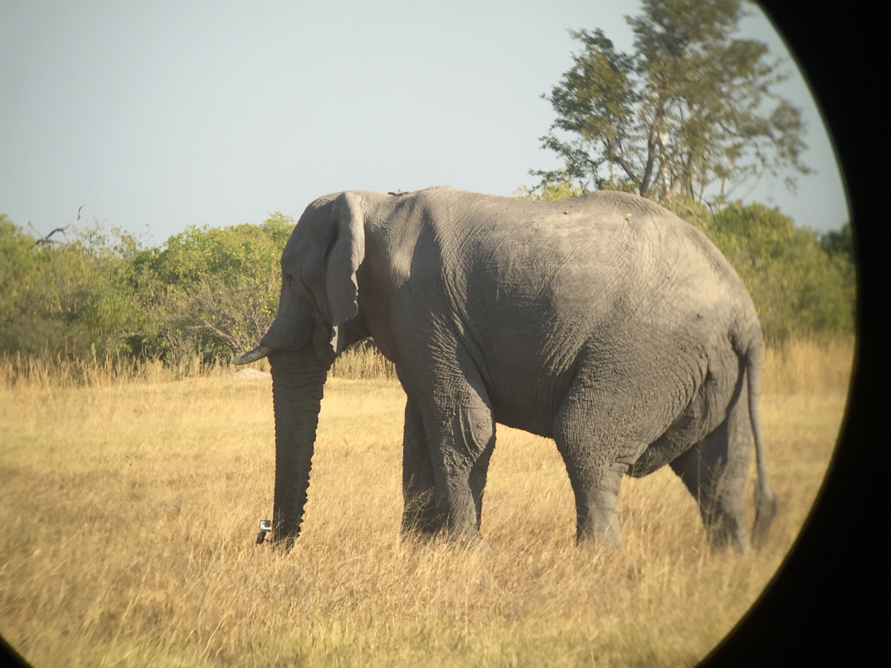 [26370] 2016_06_30_16_09_52_Africa_iPhone_6_IMG_8603_01126.jpg