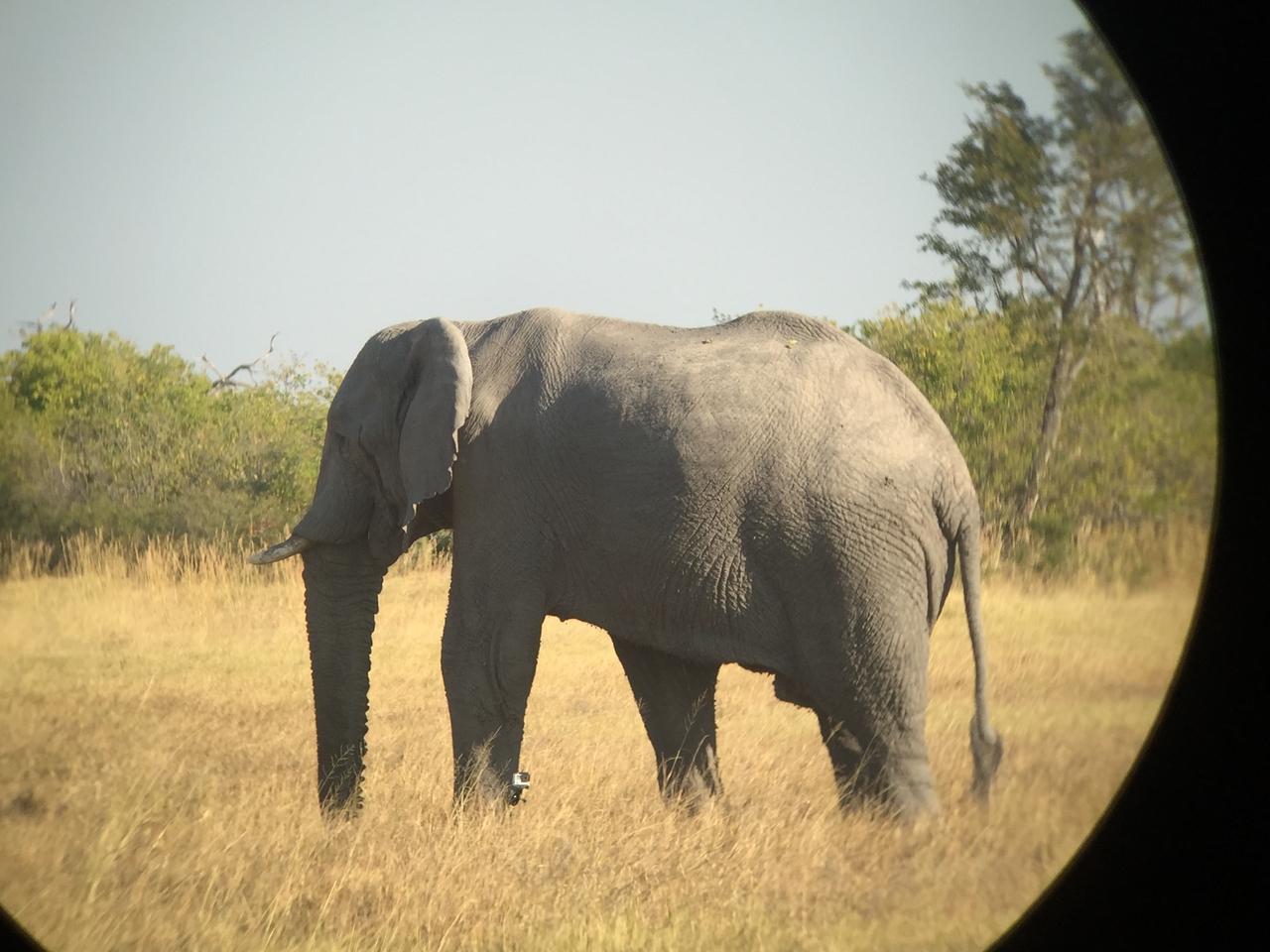 [26373] 2016_06_30_16_09_53_Africa_iPhone_6_IMG_8604_01127.jpg