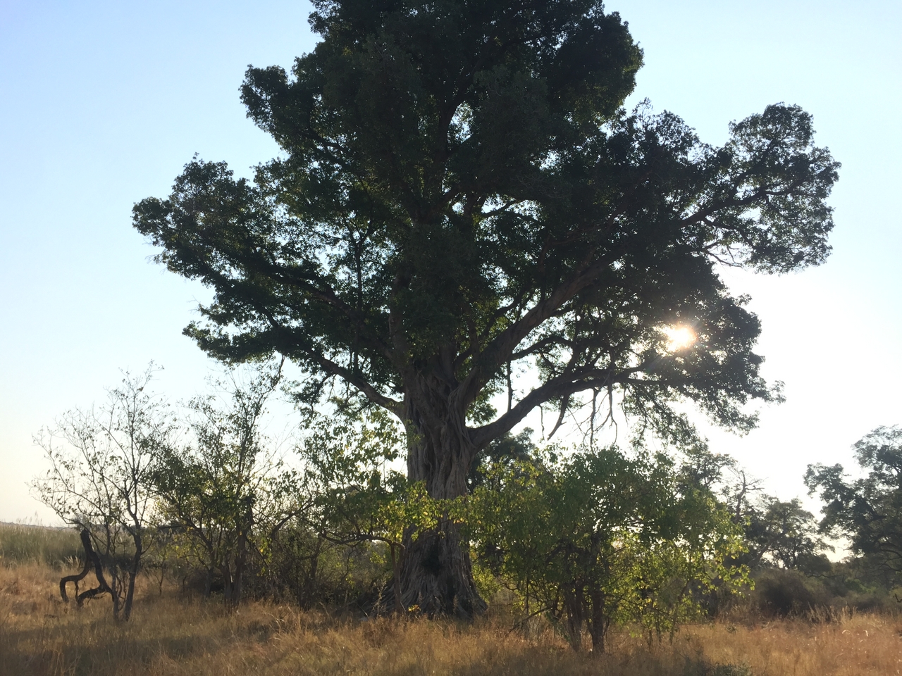 [26915] 2016_07_01_08_25_43_Africa_iPhone_6_IMG_8631_01150.jpg