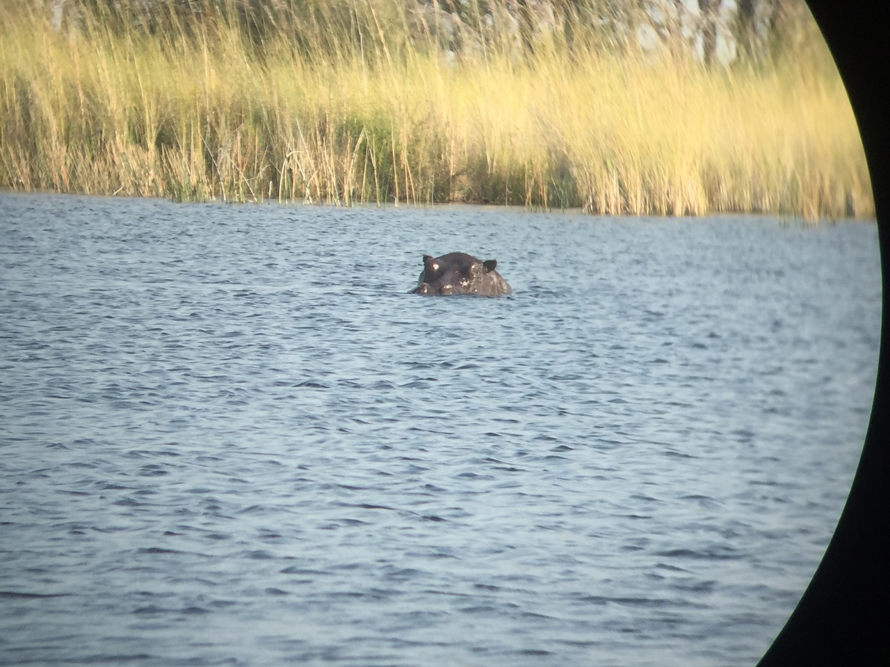 [26940] 2016_07_01_10_02_49_Africa_iPhone_6_IMG_8634_03493.jpg