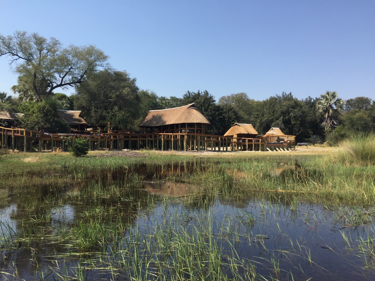 [27026] 2016_07_01_13_02_23_Africa_iPhone_6_IMG_8643_01160.jpg