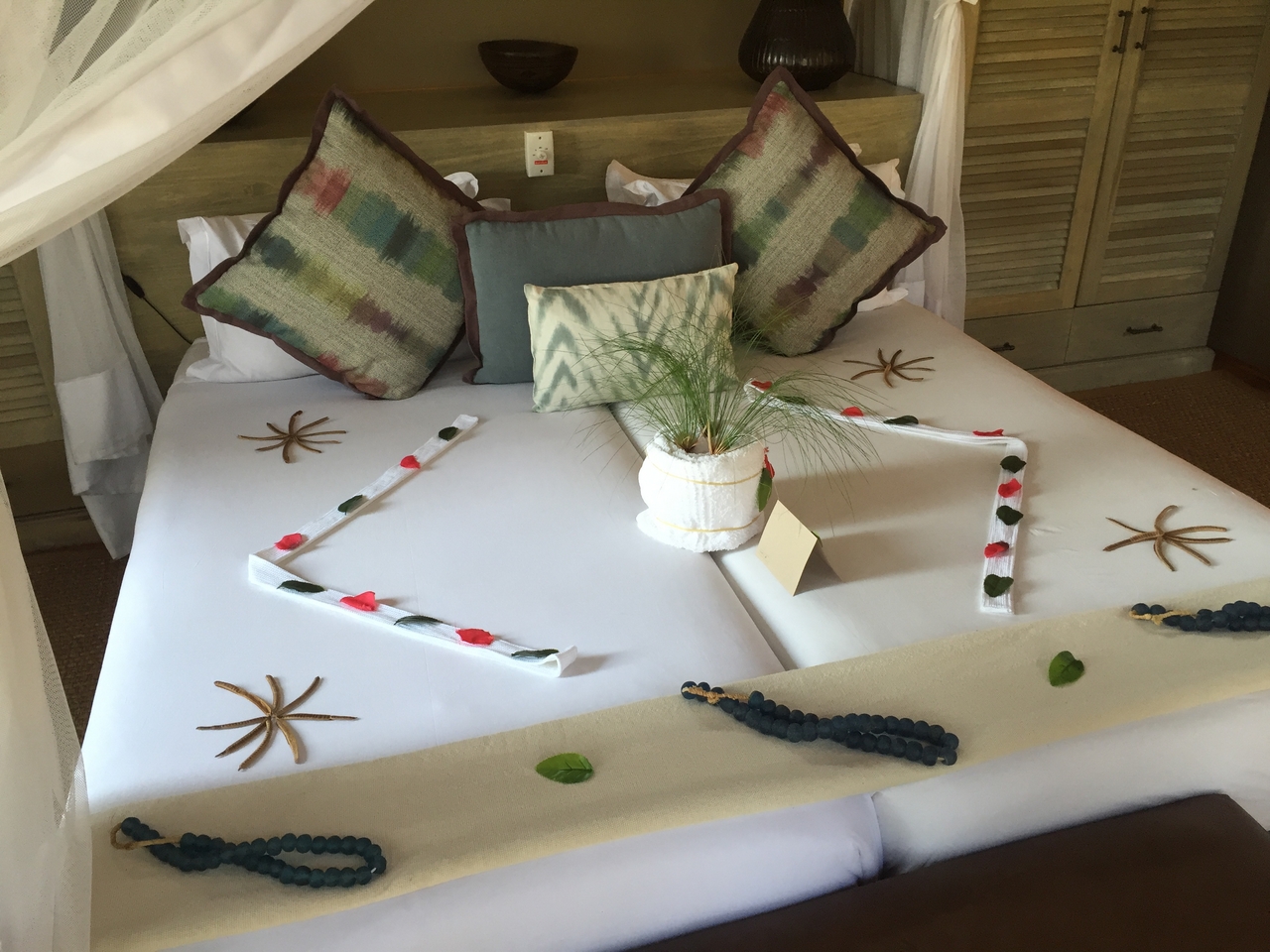 [27041] 2016_07_01_13_57_21_Africa_iPhone_6_IMG_8646_01163.jpg