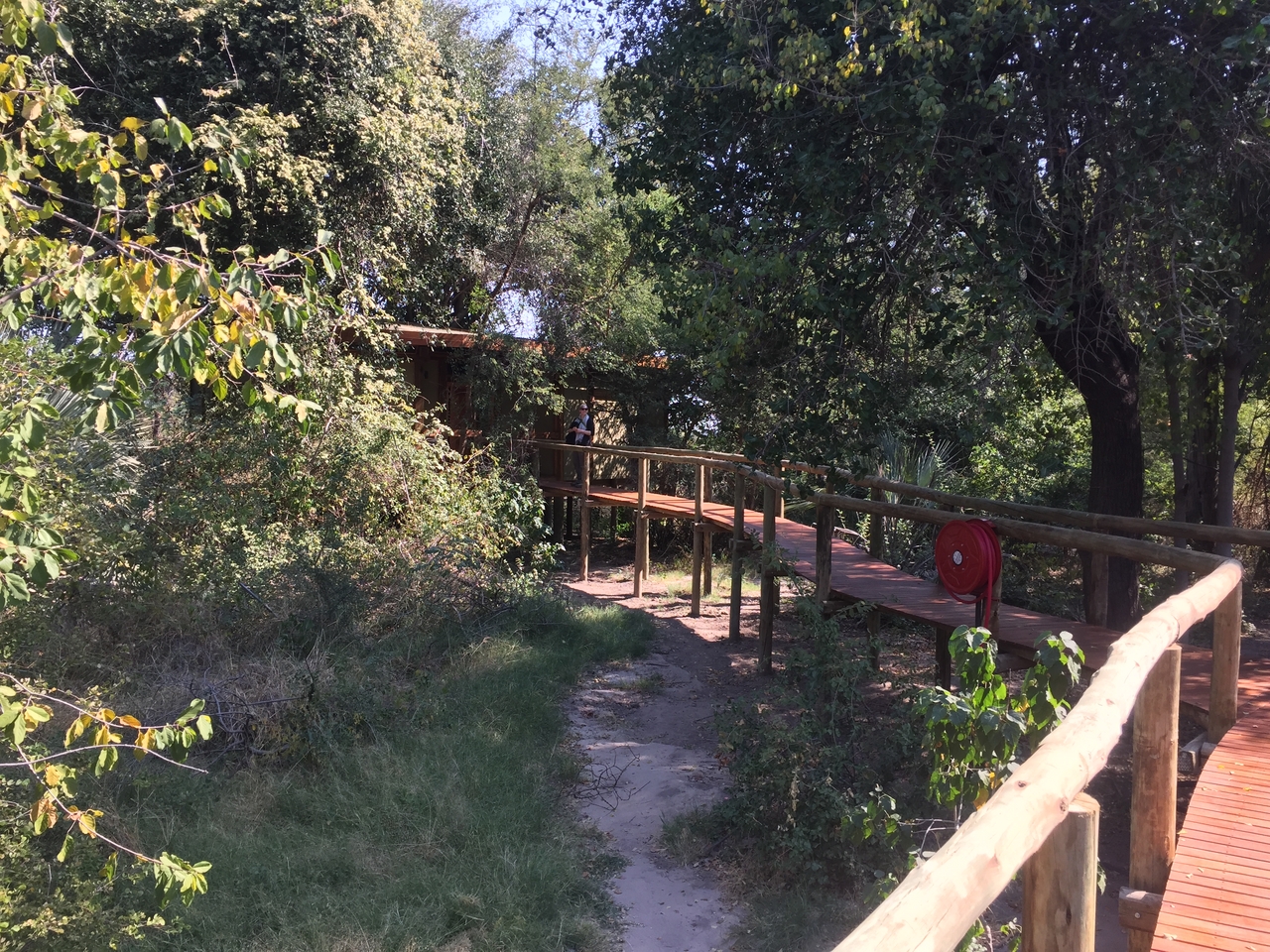 [27056] 2016_07_01_13_59_42_Africa_iPhone_6_IMG_8651_01168.jpg