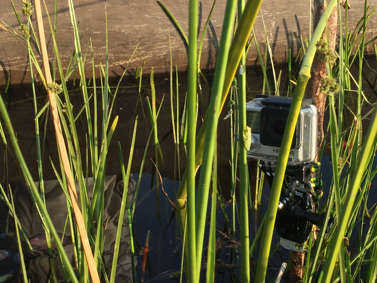 [27274] 2016_07_01_16_36_18_Africa_iPhone_6_IMG_8670_03528.jpg