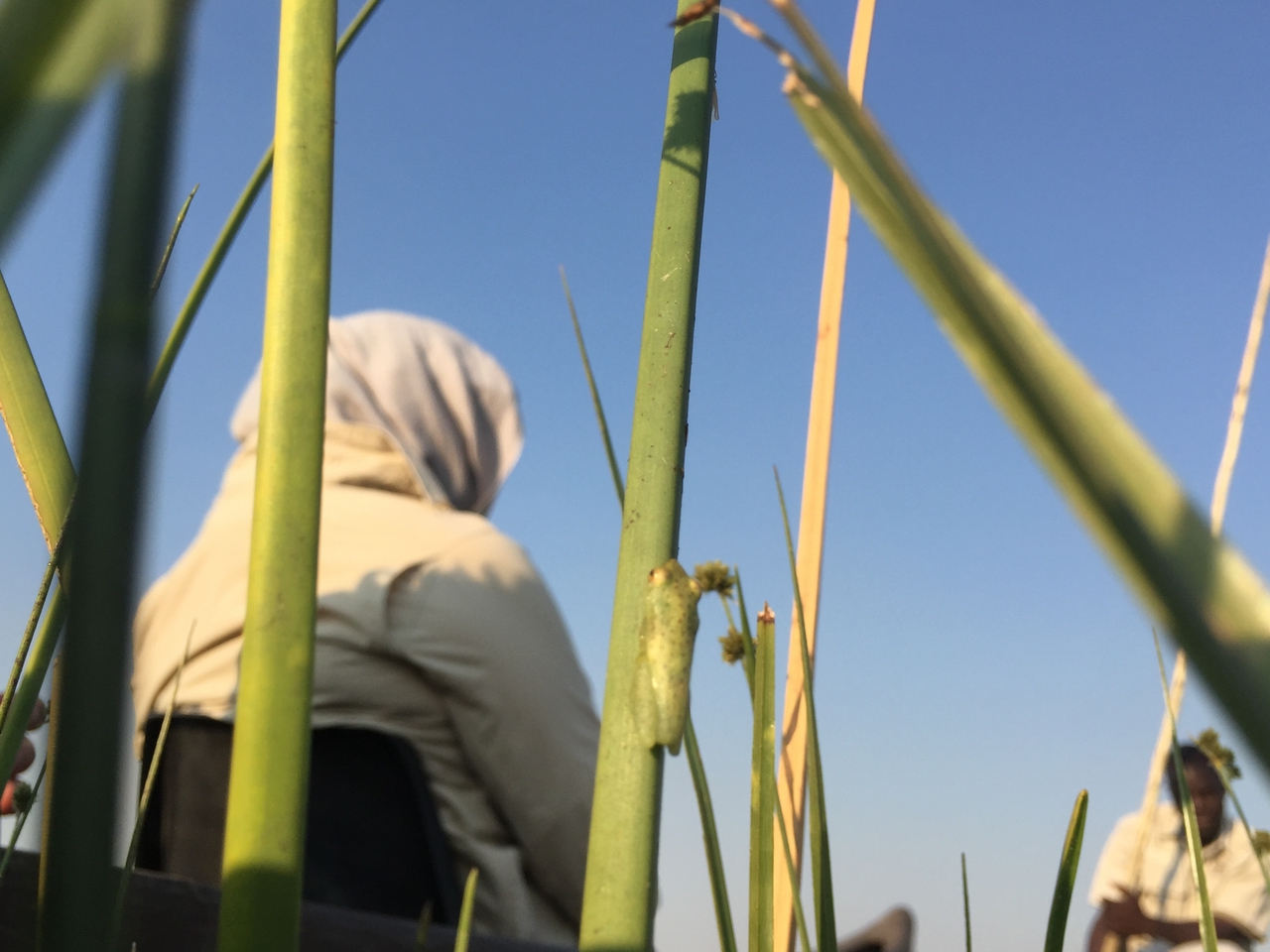 [27288] 2016_07_01_16_37_19_Africa_iPhone_6_IMG_8675_01192.jpg