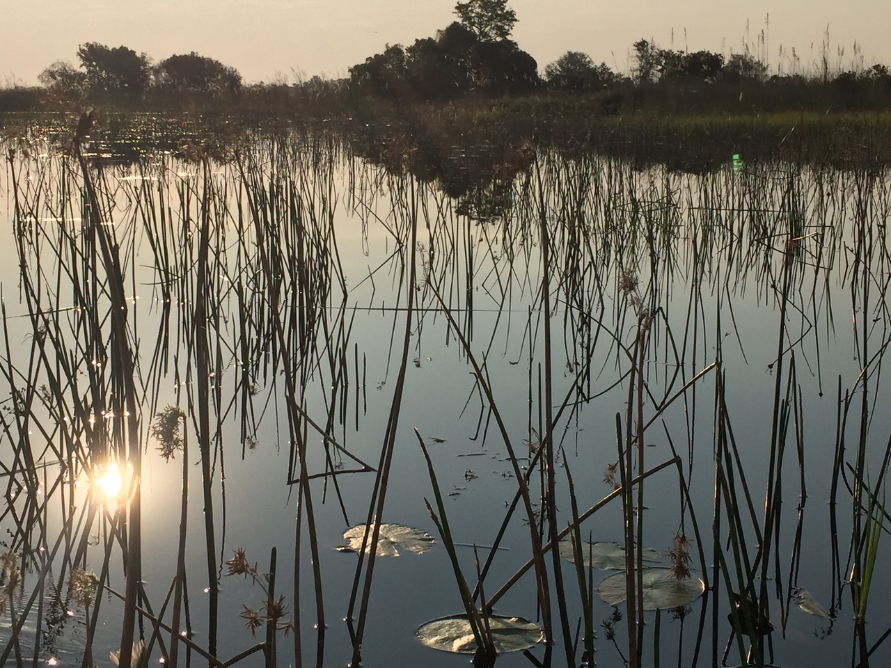 [27348] 2016_07_01_16_47_58_Africa_iPhone_6_IMG_8690_01205.jpg