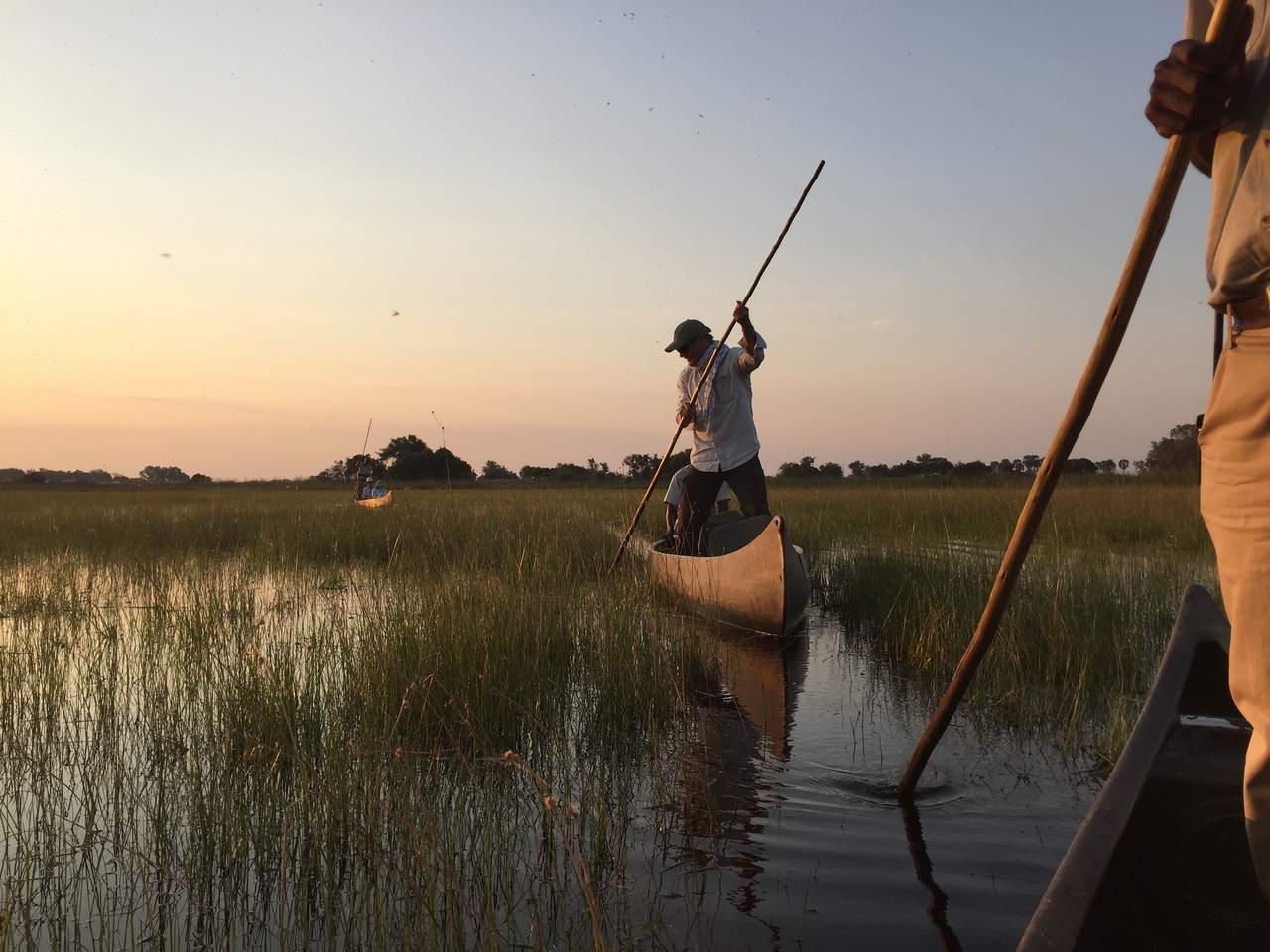 [27391] 2016_07_01_17_29_06_Africa_iPhone_6_IMG_8707_03555.jpg